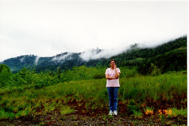 A misty good-morning near Creater Lake